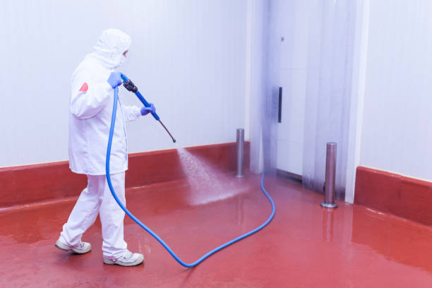 Trusted Kenilworth, NJ Pressure Washing Services Experts